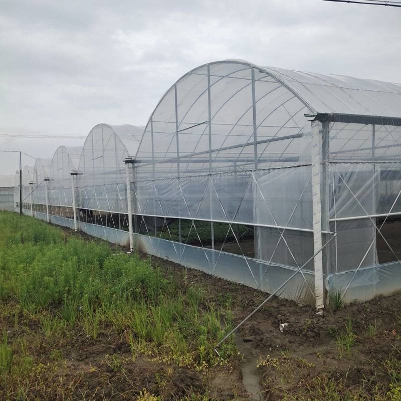 连栋蔬菜大棚成套大棚配件大全骨架全套简易连体花卉农业草莓