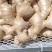山东窖存冷库大姜、小姜大量有货供应，常年有货
