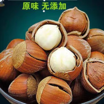 厂家出售美国开口榛子