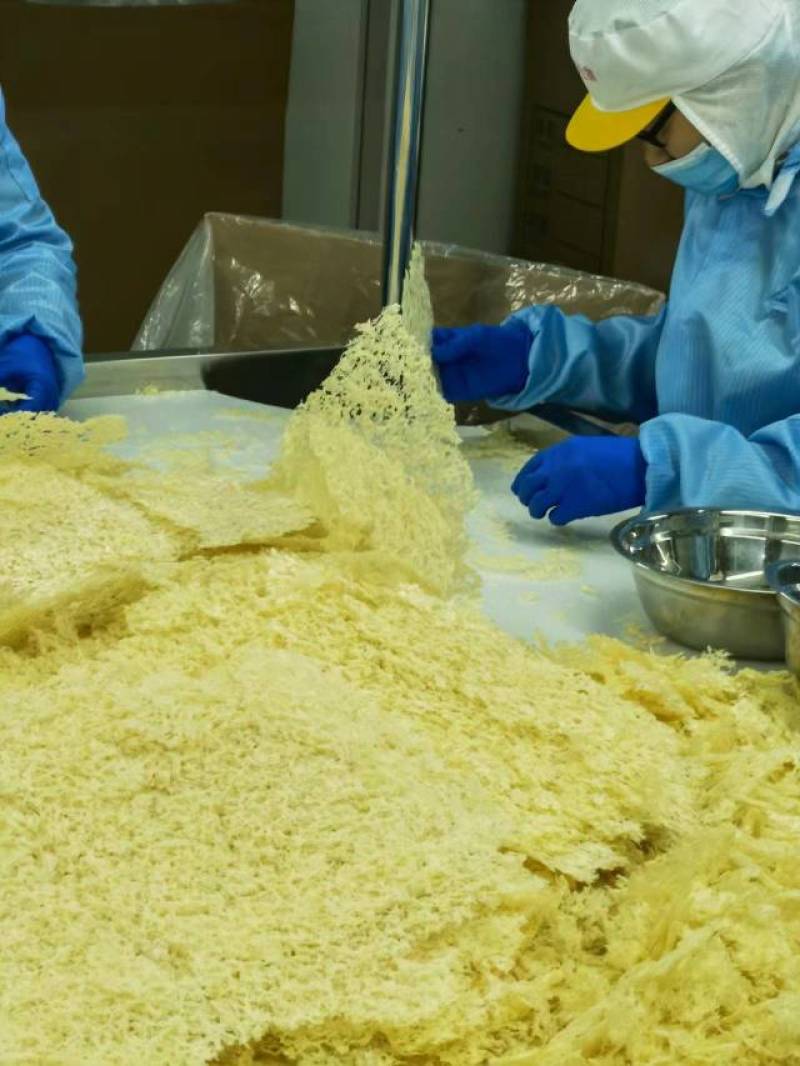 本草银耳古田银耳食用菌干货农产品厂价批发