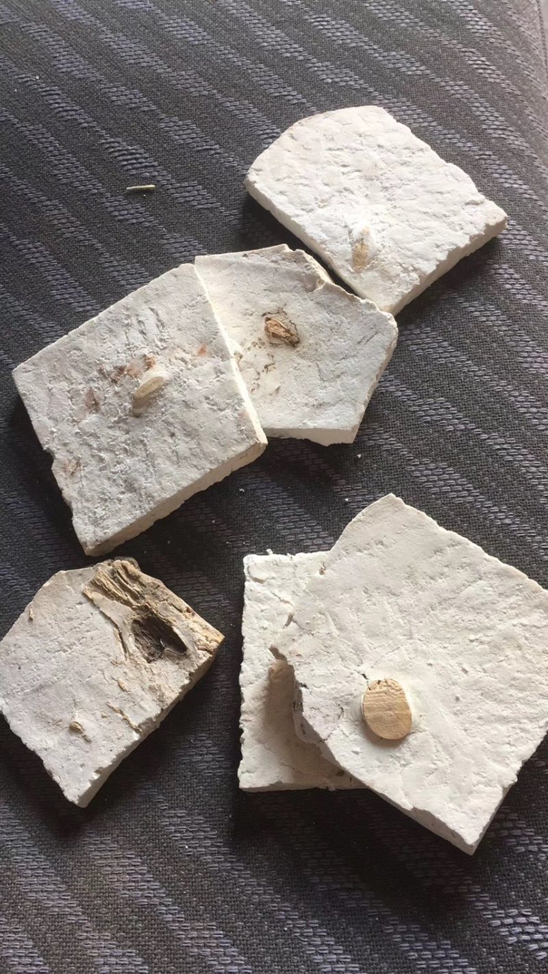 大量有货茯苓、茯苓、茯苓、这是干货，精选町