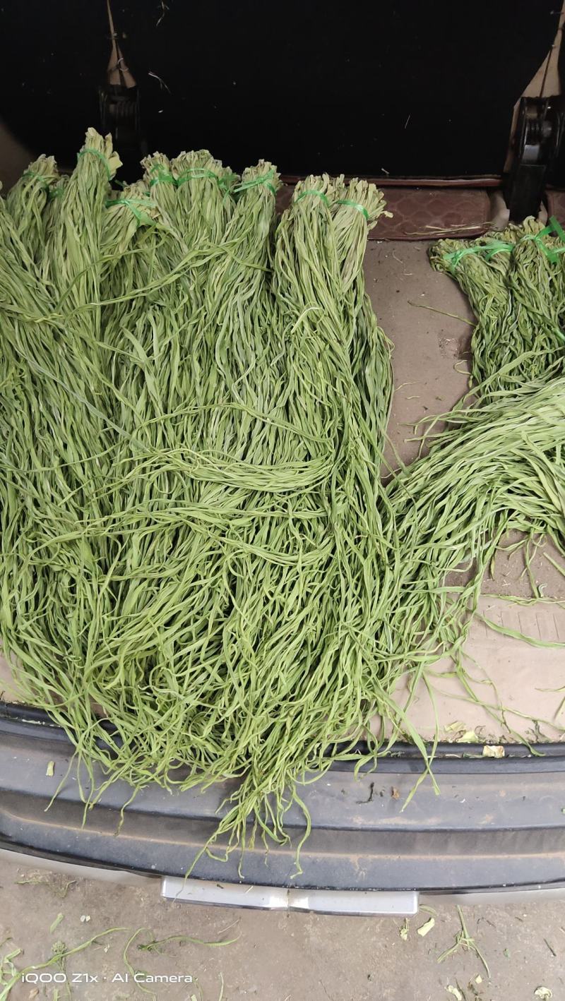 贡菜优质贡菜销售一手货源干度好产地直供代发欢迎老板联系
