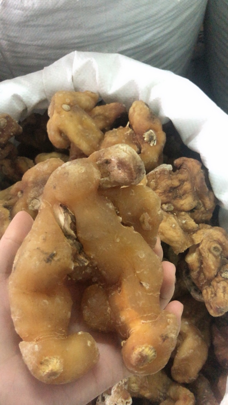 姜黄精大量供应广西产地直销质量有保证货源充足全国发货