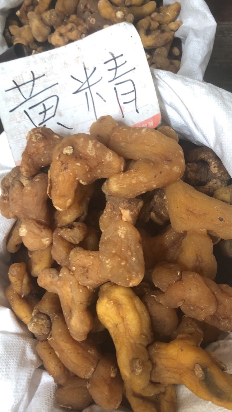 姜黄精大量供应广西产地直销质量有保证货源充足全国发货