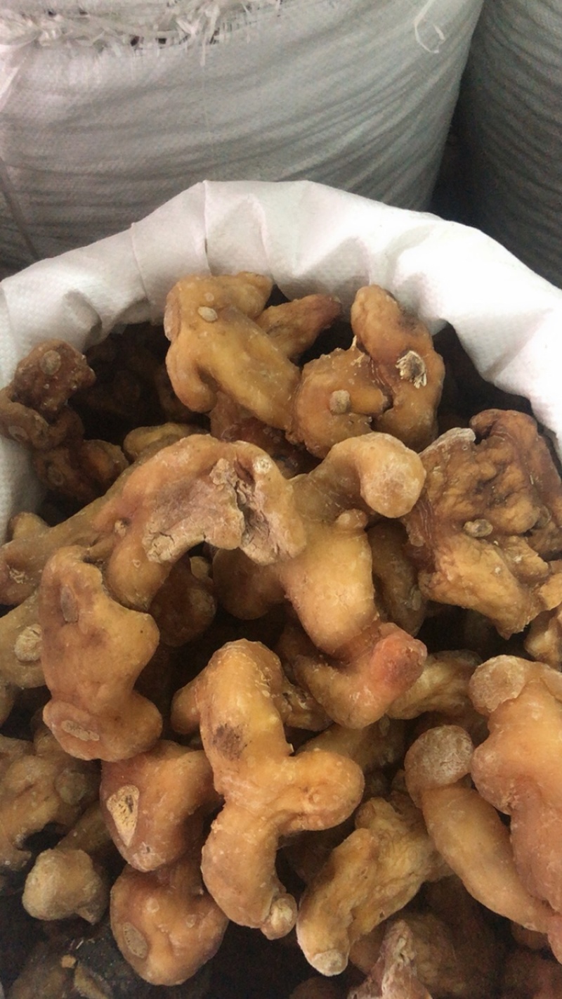 姜黄精大量供应广西产地直销质量有保证货源充足全国发货