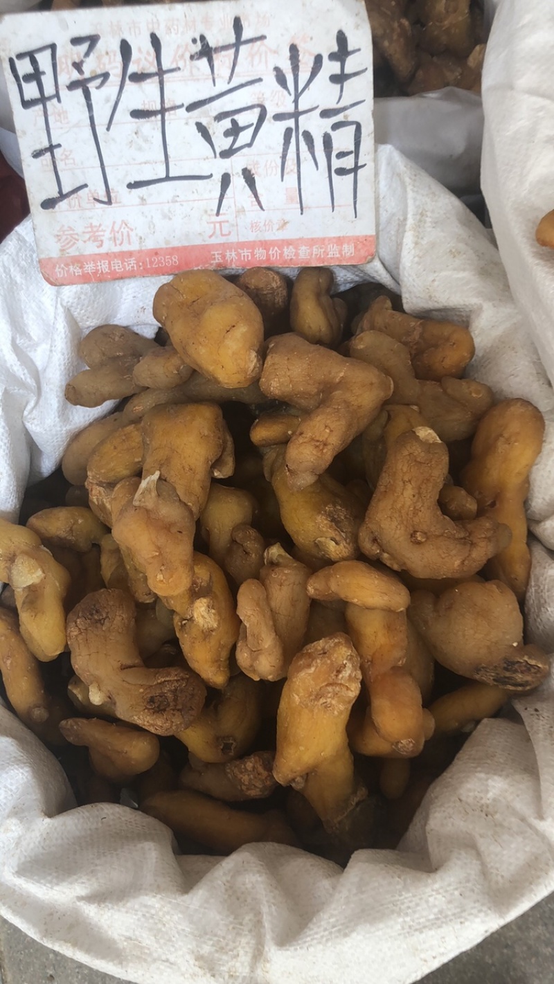 姜黄精大量供应广西产地直销质量有保证货源充足全国发货