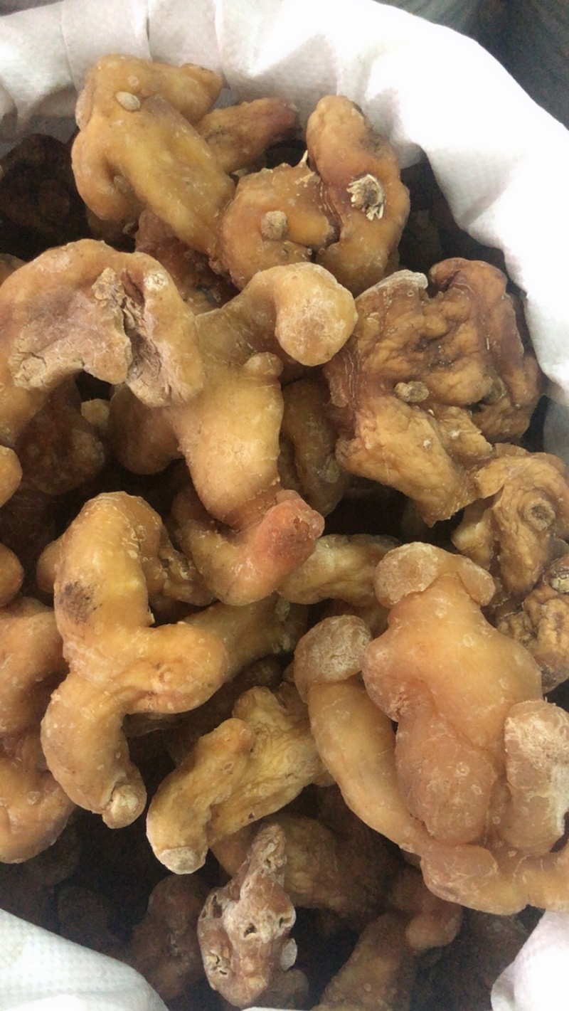 姜黄精大量供应广西产地直销质量有保证货源充足全国发货