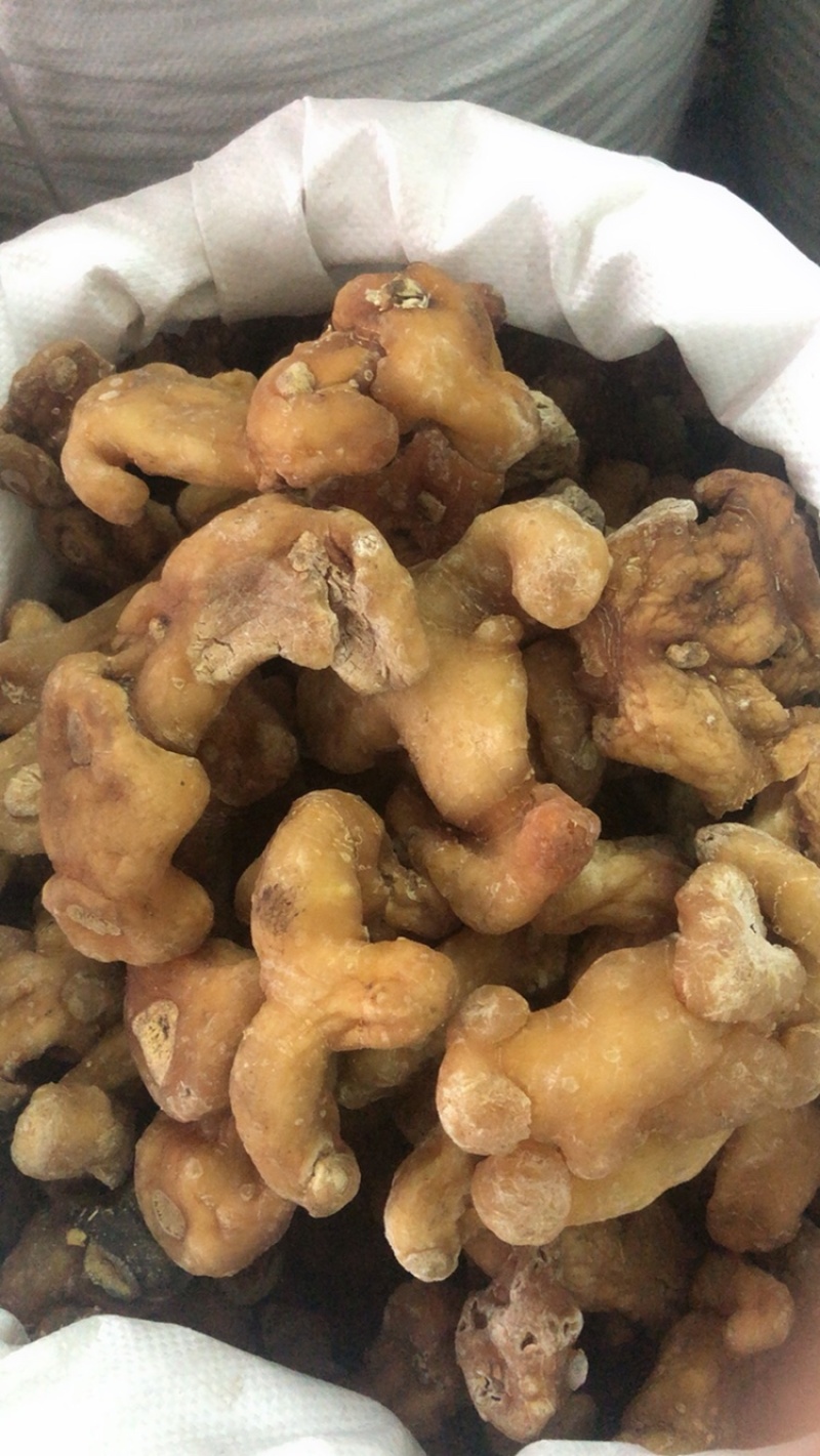 姜黄精大量供应广西产地直销质量有保证货源充足全国发货