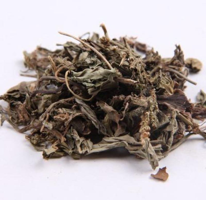 车前草野生车前草批发各种规格中药材质优价廉