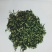 莲子芯莲子芯各种养生花茶中药材批发