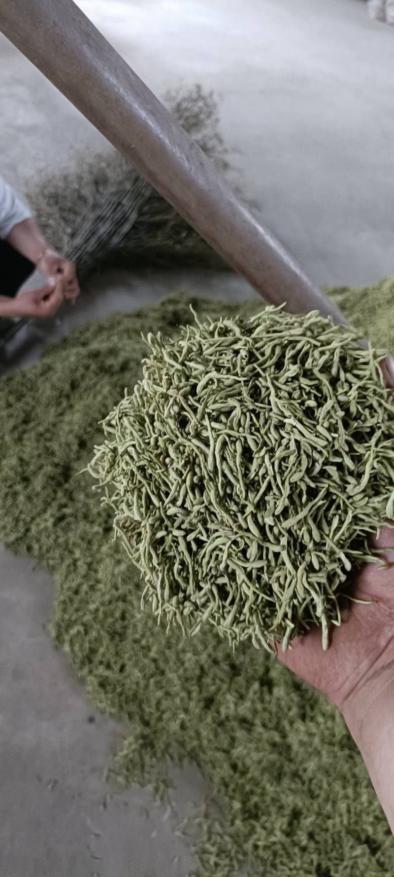 莲子芯莲子芯各种养生花茶中药材批发