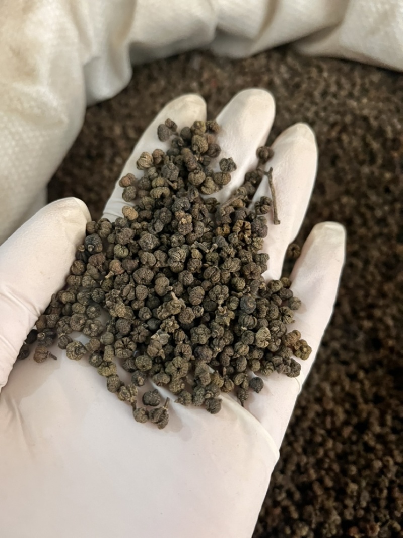 吴茱萸正品高含量吴茱萸小花净货无杂质产地直销量大从优