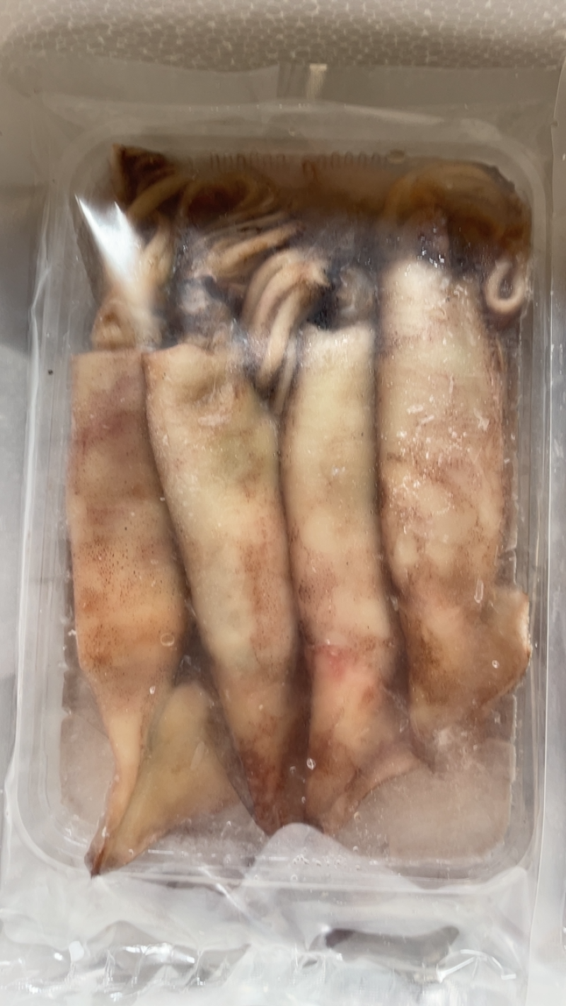 鱿鱼海捕新鲜大鱿鱼小鱿鱼江苏海鲜水产大鱿鱼