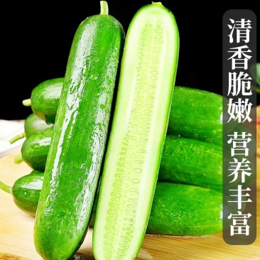 水果黄瓜,小黄瓜,常年供应,大量上市。