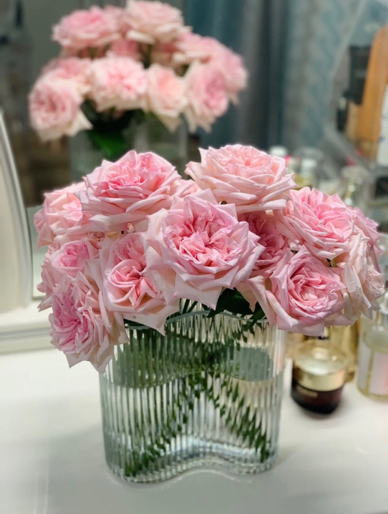 包邮粉荔枝玫瑰20支带香味的玫瑰鲜切花批发一件代发