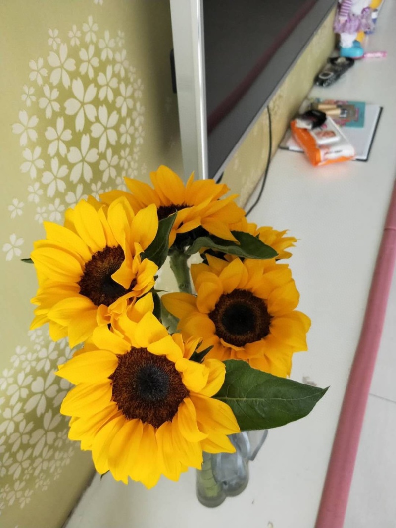 向日葵鲜切花摆地摊鲜花向日葵批发鲜花批发一件代发