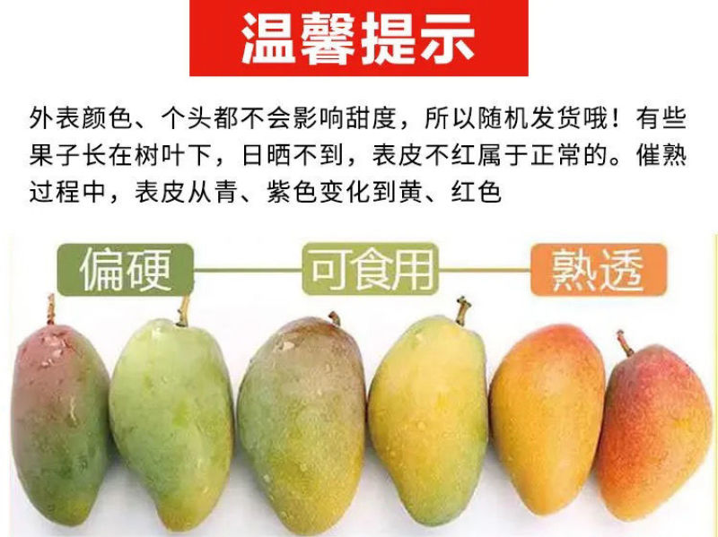一件代发贵妃芒海南三亚贵妃芒果水果新鲜当季3/5/9斤