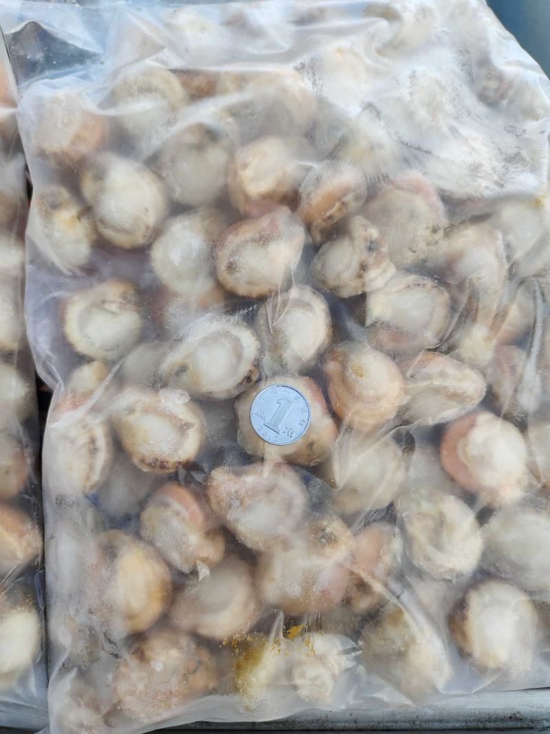 扇贝肉干干度好无沙1箱30斤！产地直发可视频看货不包邮