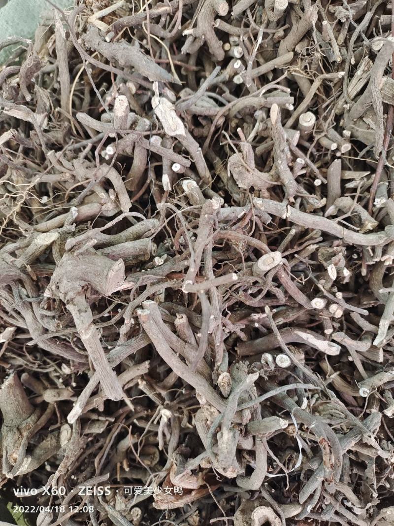 中药材小罗伞～货源充足～