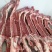 国产加肉羔羊羊蝎子，火锅店食材优选，厂家批发。