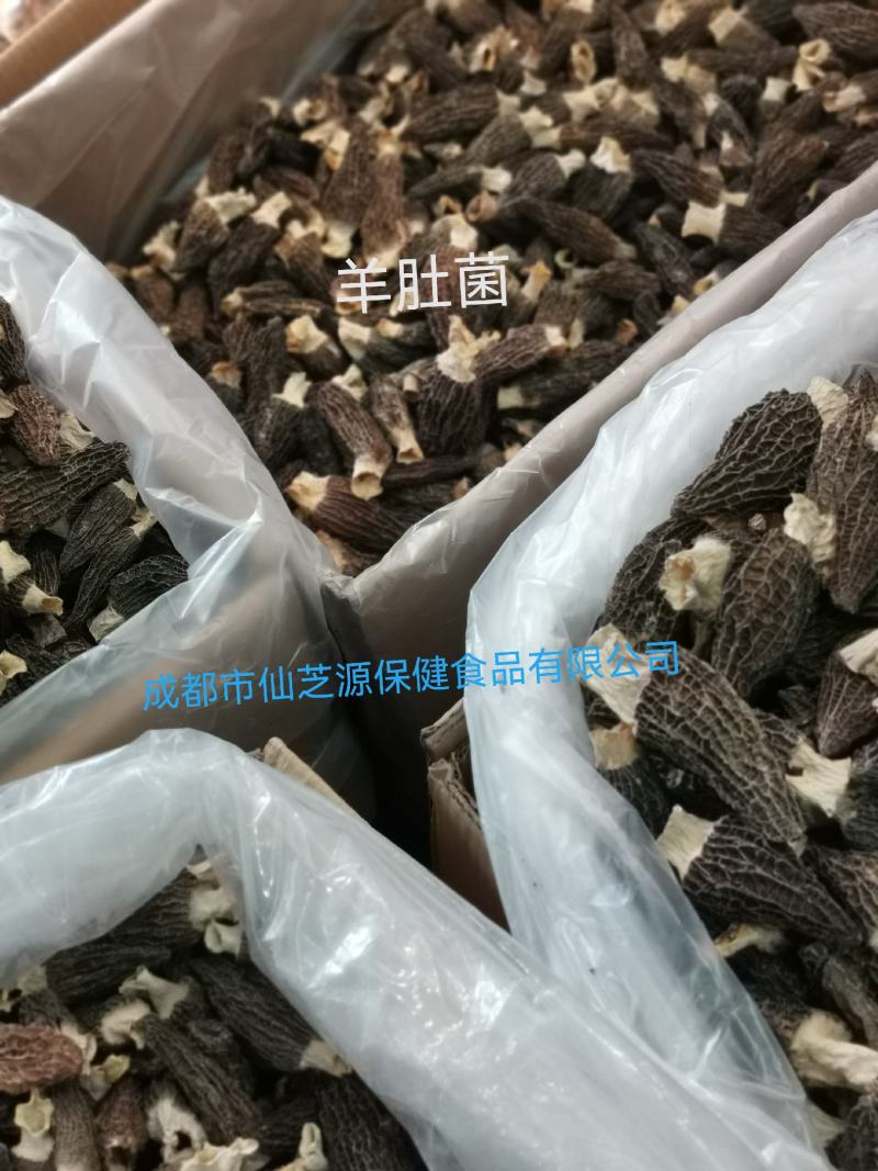 精选小金边紫灵芝，免费打粉，产地大量供应