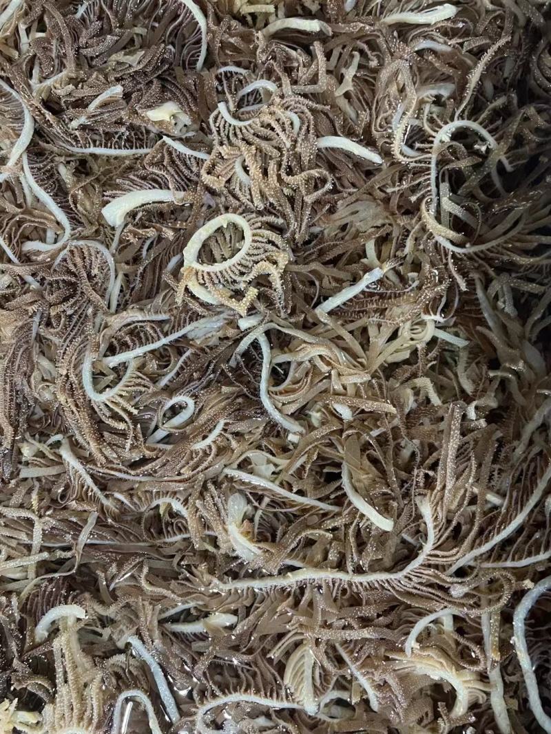 盒装黑千层黑毛肚千层肚黑丝火锅必点