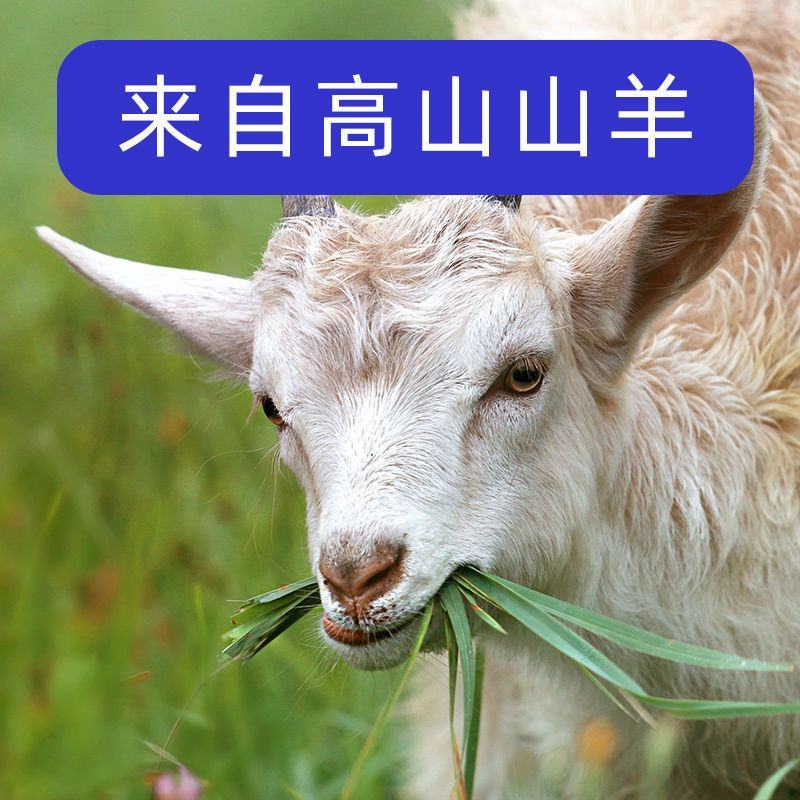 【包邮-10盒羊奶】新鲜纯羊奶儿童孕妇中老年山羊奶盒装