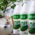 【娃哈哈官店】大AD钙奶整箱批发220ml乳酸菌儿童早餐
