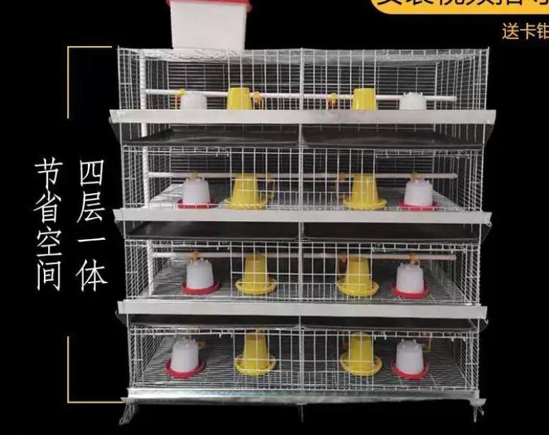 小鸡育雏笼加粗加密雏鸡笼立式四层幼鸡铁笼镀锌笼具鸡苗
