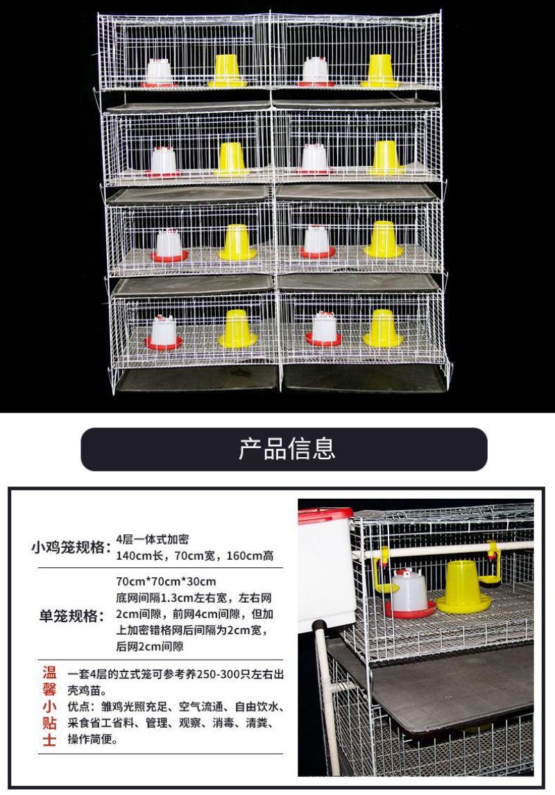 小鸡育雏笼加粗加密雏鸡笼立式四层幼鸡铁笼镀锌笼具鸡苗