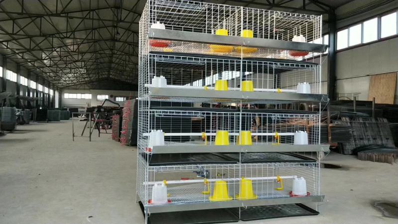 小鸡育雏笼加粗加密雏鸡笼立式四层幼鸡铁笼镀锌笼具鸡苗