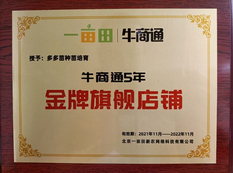 罗汉果苗（青皮果，可视频看苗、技术指导，包回收果子）