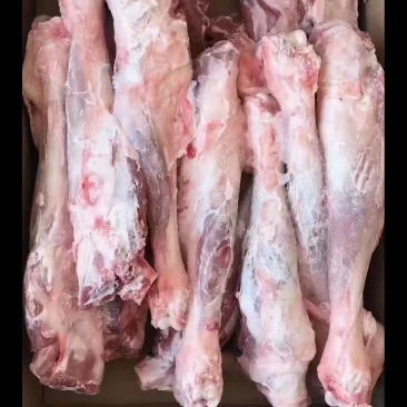 牛羊肉批发