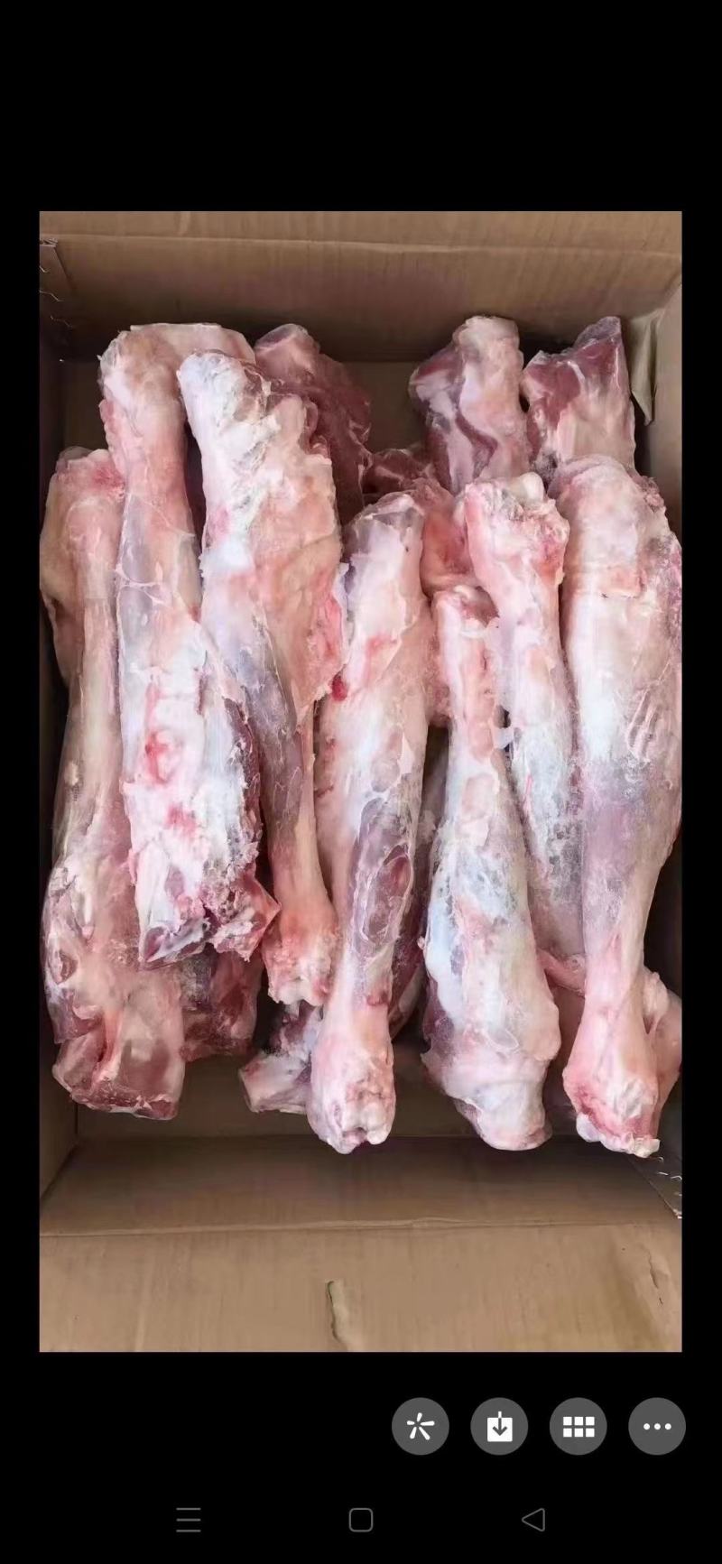 牛羊肉批发