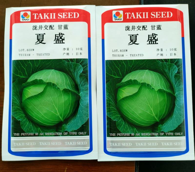 杂交耐热甘蓝种子包菜种子莲花白种子圆包菜种子耐热扁平