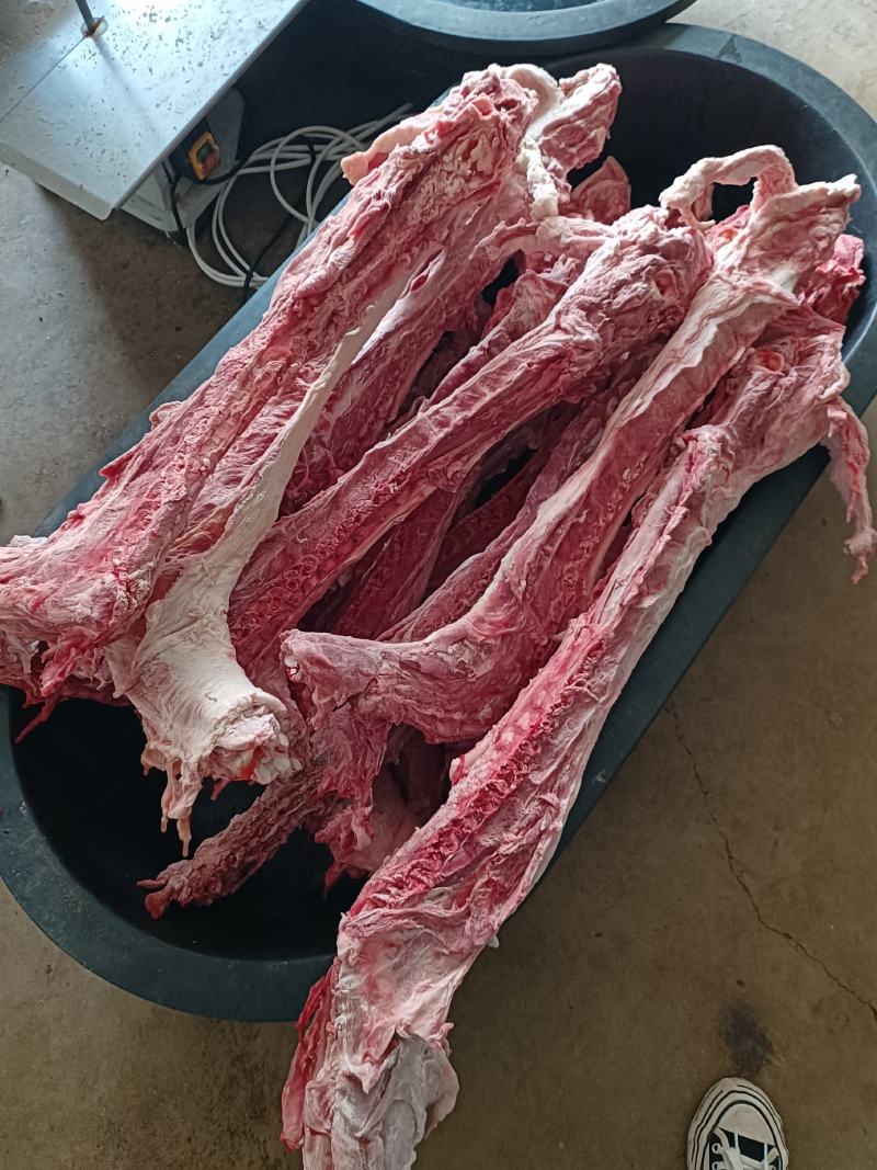 多肉大羊脊骨多肉羊蝎子8一斤可锯断发样品