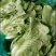 精品散叶生菜，货源充足，量大从优，欢迎客商进店咨询