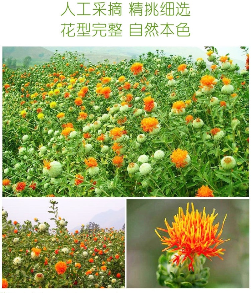 云南红花朵高原藏红花红花茶泡酒泡水泡脚厂地批发