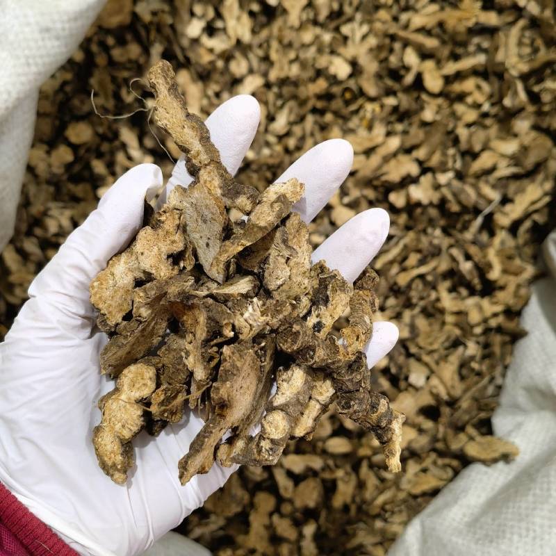 苍术实图拍摄当天发货货源充足重在品质物美价廉