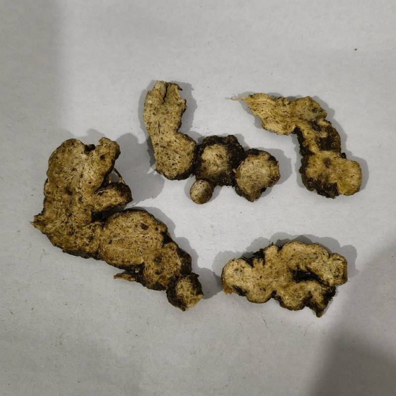 苍术实图拍摄当天发货货源充足重在品质物美价廉