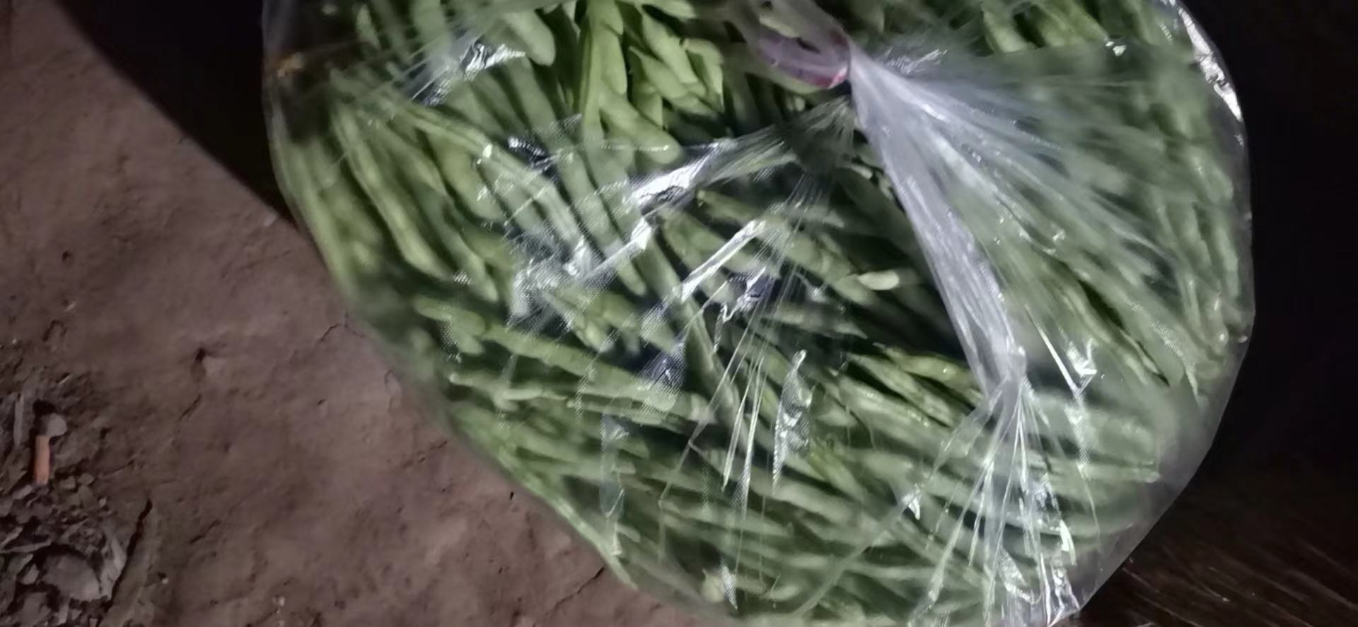 豆角变质对比图