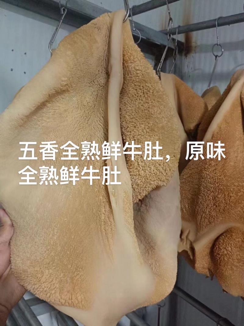 五香，原味，全熟新鲜牛肚，可以直接食用，适合餐饮，商超！
