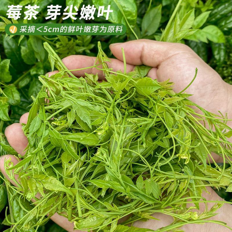 【精品】莓茶，张家界正品特级莓茶，藤茶养生茶，品质保证。