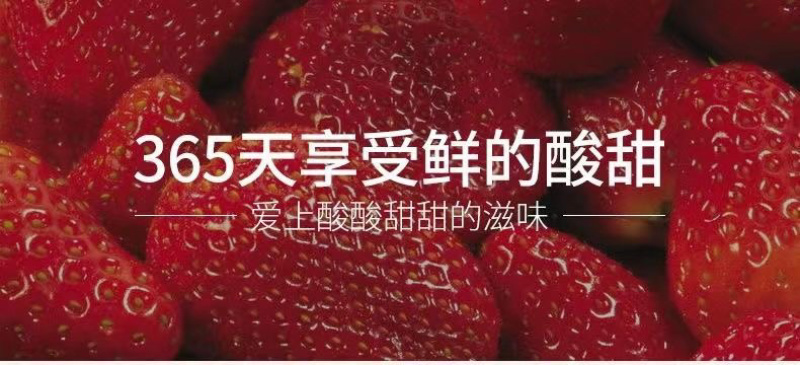 特选鲜嫩草莓干一口新鲜产地直供高品质果脯