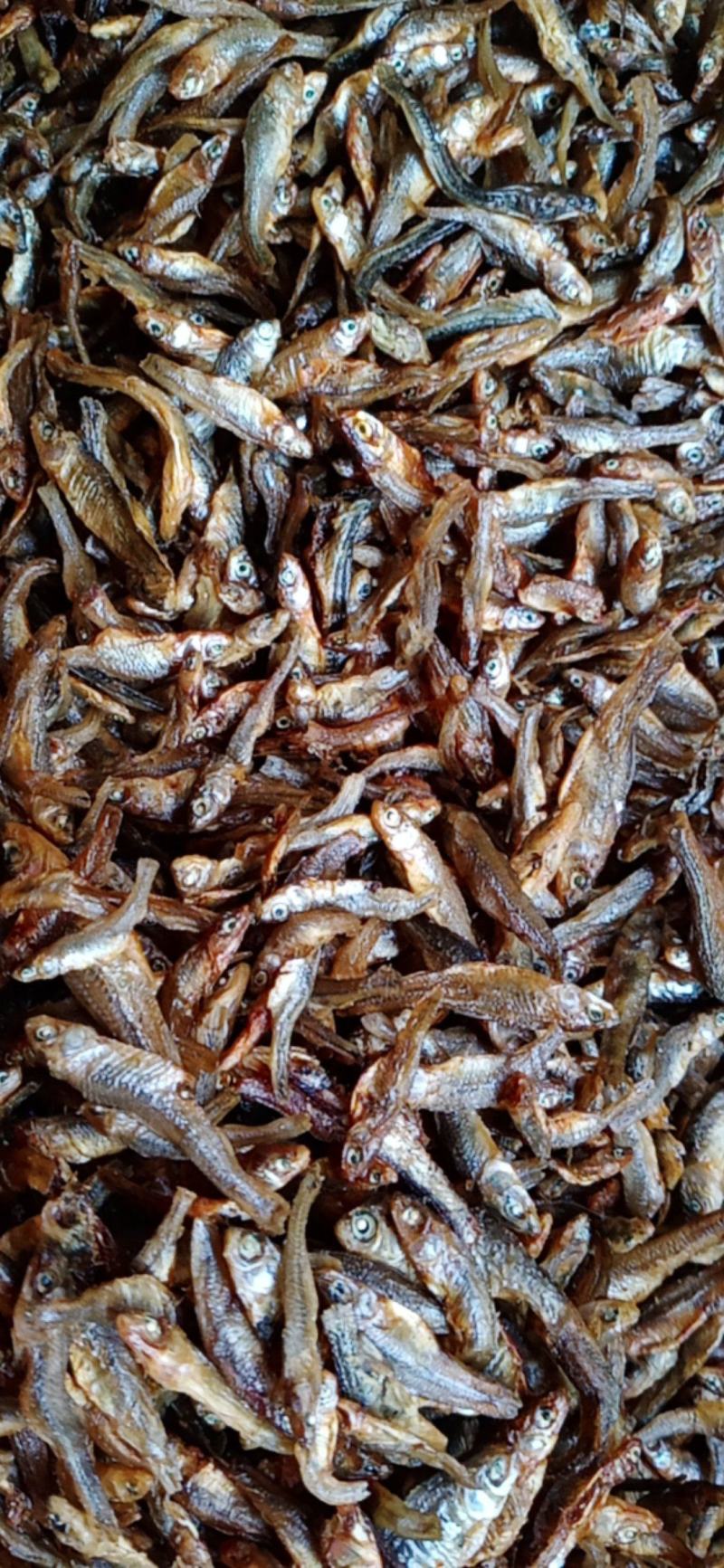 麦穗鱼嫩子鱼。麻鱼。清一色。大中小号都有。没有碎的好货