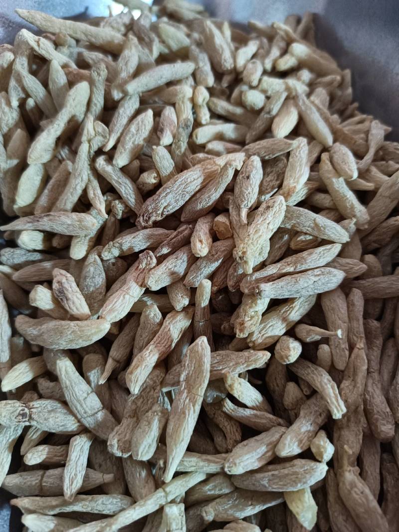 山药山药片怀山药常年供应大货各种中药材批发