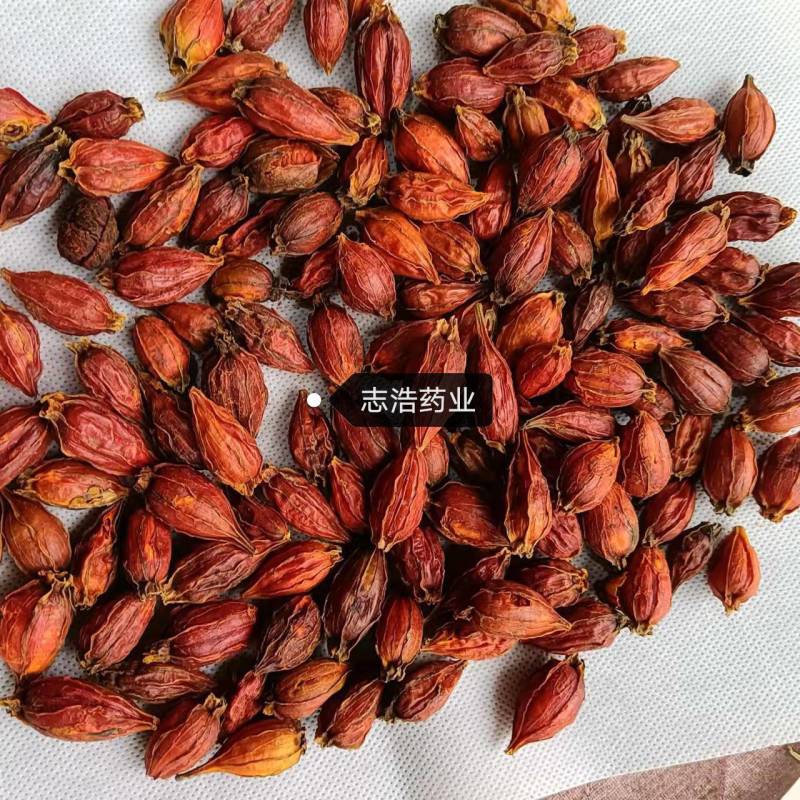 山药山药片怀山药常年供应大货各种中药材批发