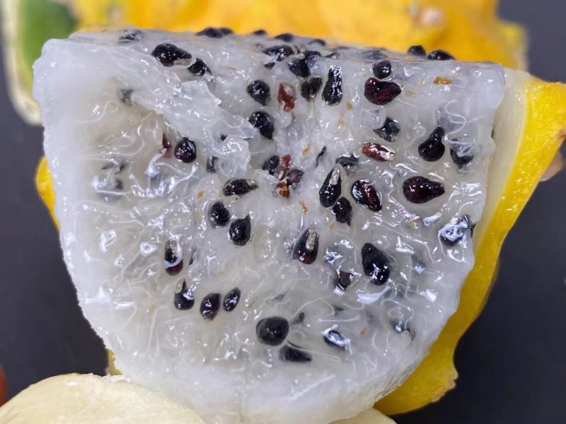 海南燕窝果一件代发