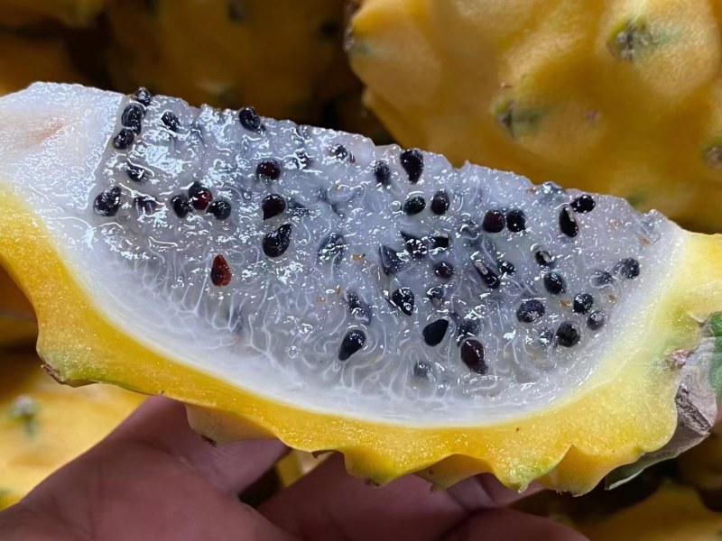 海南燕窝果一件代发