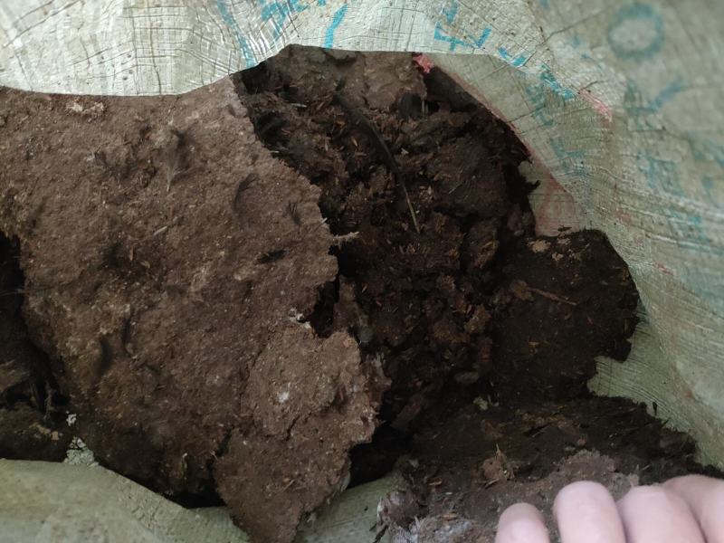 广东鸡粪长期有货货源充足基地直供质量保证诚信经营需要联系
